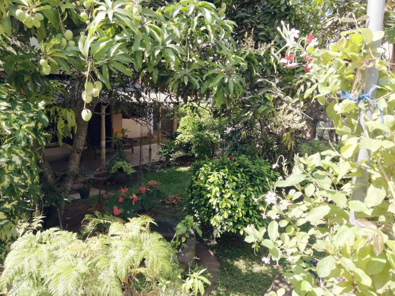 Nisadi Villa Bentota Exterior foto